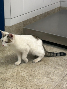 WhatsApp Bild 2025-10-16 um 17.47.37_96d60910